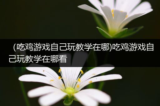 （吃鸡游戏自己玩教学在哪)吃鸡游戏自己玩教学在哪看