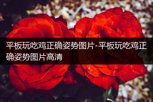 平板玩吃鸡正确姿势图片-平板玩吃鸡正确姿势图片高清