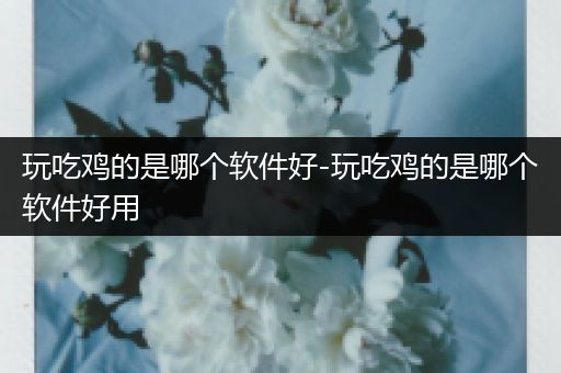 玩吃鸡的是哪个软件好-玩吃鸡的是哪个软件好用