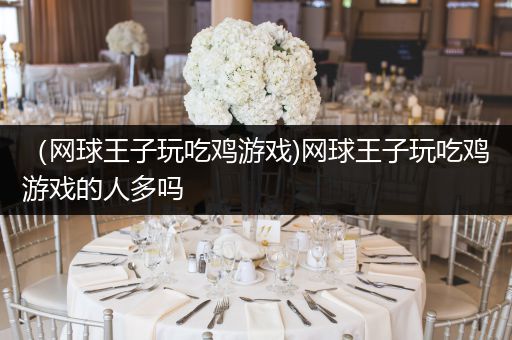 （网球王子玩吃鸡游戏)网球王子玩吃鸡游戏的人多吗