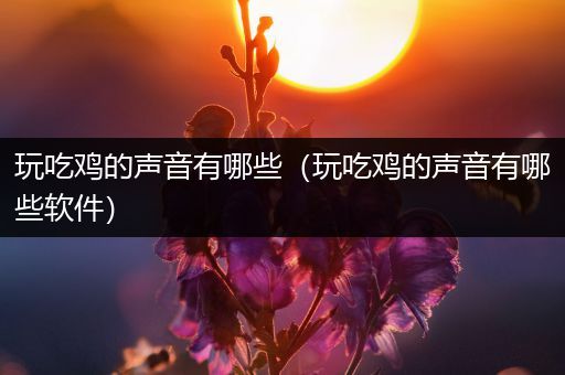 玩吃鸡的声音有哪些（玩吃鸡的声音有哪些软件）