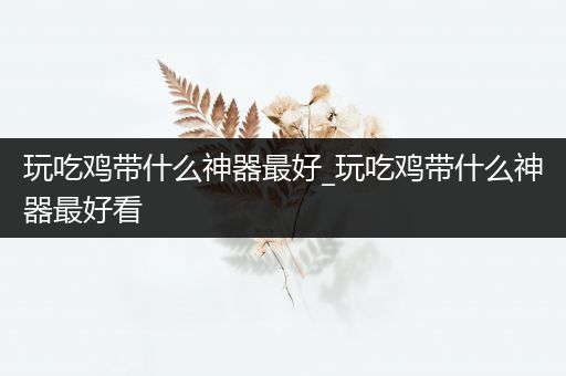 玩吃鸡带什么神器最好_玩吃鸡带什么神器最好看