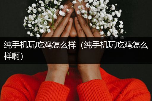 纯手机玩吃鸡怎么样（纯手机玩吃鸡怎么样啊）