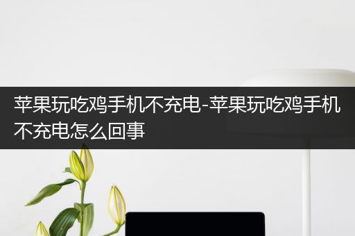 苹果玩吃鸡手机不充电-苹果玩吃鸡手机不充电怎么回事