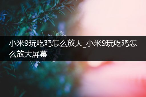 小米9玩吃鸡怎么放大_小米9玩吃鸡怎么放大屏幕