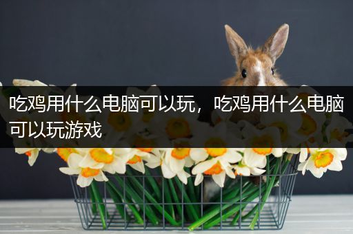 吃鸡用什么电脑可以玩，吃鸡用什么电脑可以玩游戏