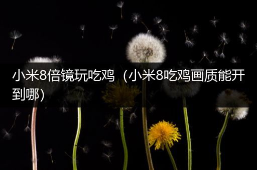 小米8倍镜玩吃鸡（小米8吃鸡画质能开到哪）