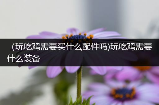 （玩吃鸡需要买什么配件吗)玩吃鸡需要什么装备