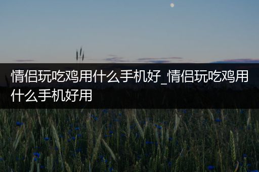情侣玩吃鸡用什么手机好_情侣玩吃鸡用什么手机好用