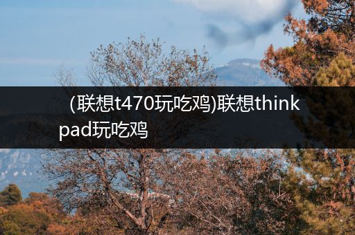 （联想t470玩吃鸡)联想thinkpad玩吃鸡