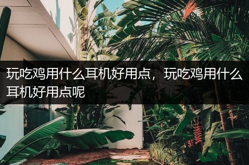 玩吃鸡用什么耳机好用点，玩吃鸡用什么耳机好用点呢