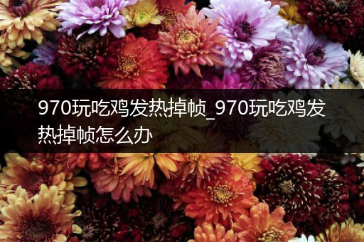 970玩吃鸡发热掉帧_970玩吃鸡发热掉帧怎么办