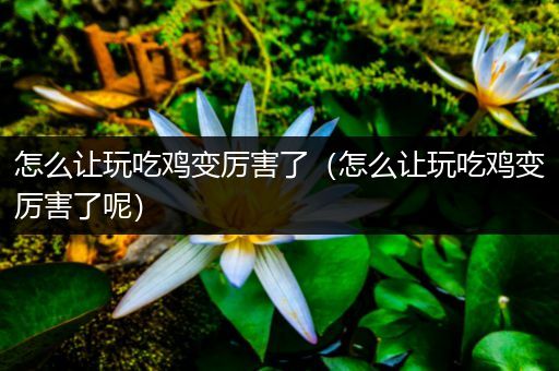 怎么让玩吃鸡变厉害了（怎么让玩吃鸡变厉害了呢）