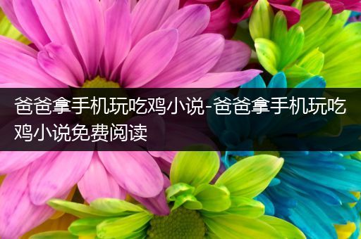 爸爸拿手机玩吃鸡小说-爸爸拿手机玩吃鸡小说免费阅读