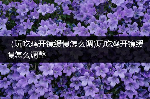（玩吃鸡开镜缓慢怎么调)玩吃鸡开镜缓慢怎么调整