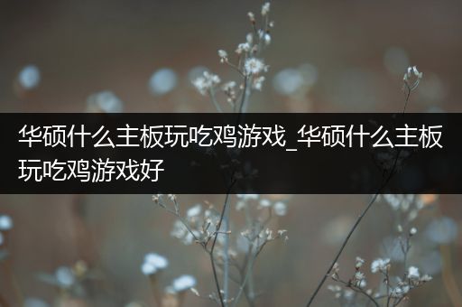 华硕什么主板玩吃鸡游戏_华硕什么主板玩吃鸡游戏好