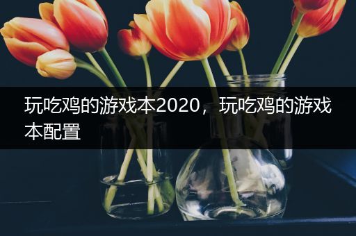 玩吃鸡的游戏本2020，玩吃鸡的游戏本配置