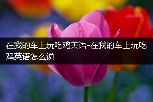 在我的车上玩吃鸡英语-在我的车上玩吃鸡英语怎么说
