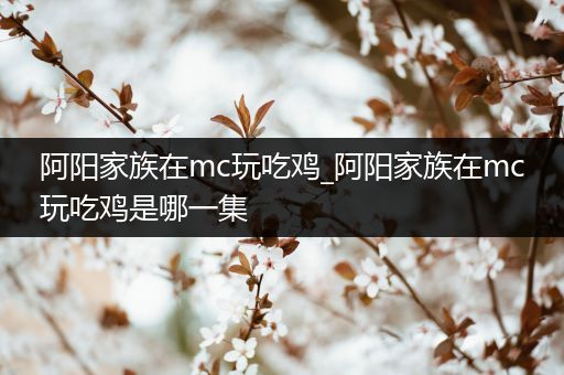 阿阳家族在mc玩吃鸡_阿阳家族在mc玩吃鸡是哪一集