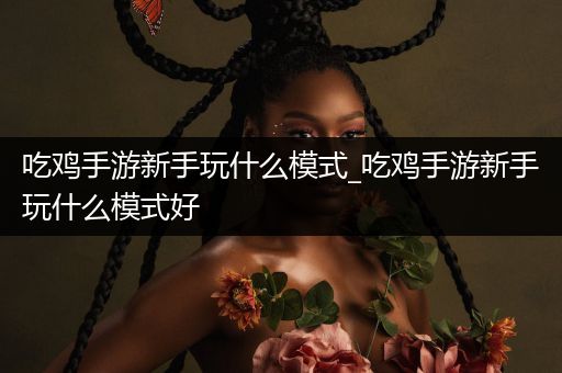 吃鸡手游新手玩什么模式_吃鸡手游新手玩什么模式好