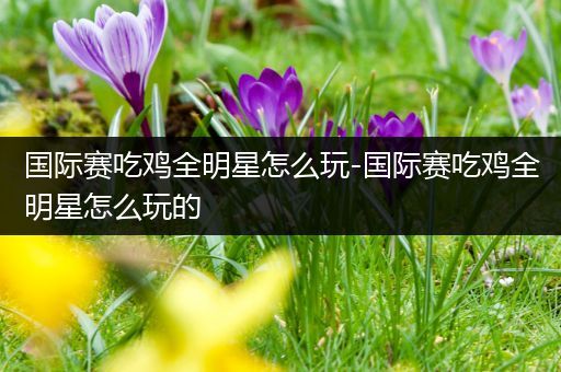 国际赛吃鸡全明星怎么玩-国际赛吃鸡全明星怎么玩的