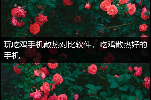 玩吃鸡手机散热对比软件，吃鸡散热好的手机