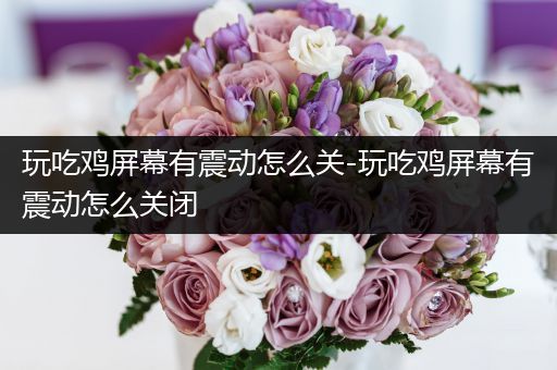 玩吃鸡屏幕有震动怎么关-玩吃鸡屏幕有震动怎么关闭