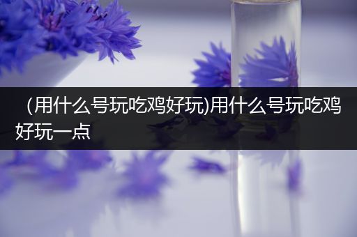 （用什么号玩吃鸡好玩)用什么号玩吃鸡好玩一点