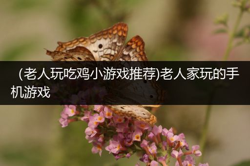 （老人玩吃鸡小游戏推荐)老人家玩的手机游戏