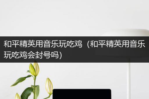 和平精英用音乐玩吃鸡（和平精英用音乐玩吃鸡会封号吗）