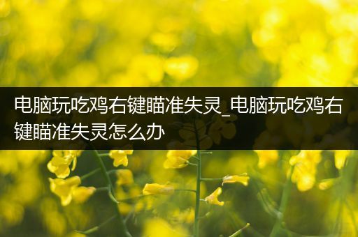 电脑玩吃鸡右键瞄准失灵_电脑玩吃鸡右键瞄准失灵怎么办