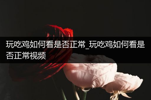 玩吃鸡如何看是否正常_玩吃鸡如何看是否正常视频