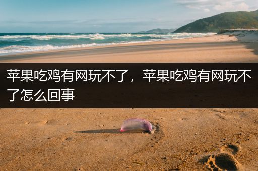苹果吃鸡有网玩不了，苹果吃鸡有网玩不了怎么回事