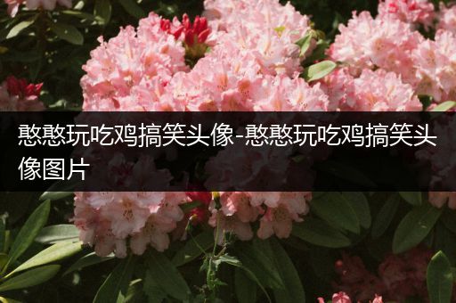 憨憨玩吃鸡搞笑头像-憨憨玩吃鸡搞笑头像图片