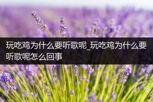 玩吃鸡为什么要听歌呢_玩吃鸡为什么要听歌呢怎么回事