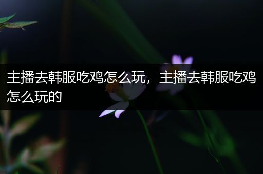 主播去韩服吃鸡怎么玩，主播去韩服吃鸡怎么玩的