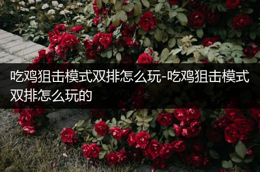 吃鸡狙击模式双排怎么玩-吃鸡狙击模式双排怎么玩的