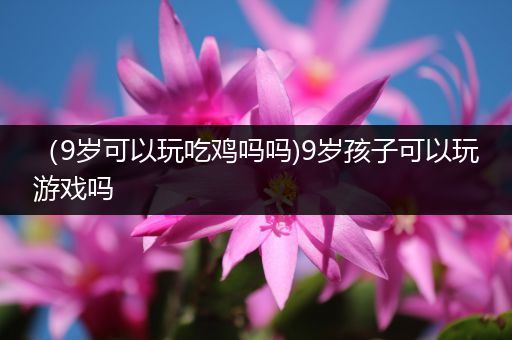 （9岁可以玩吃鸡吗吗)9岁孩子可以玩游戏吗