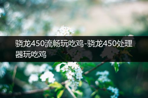 骁龙450流畅玩吃鸡-骁龙450处理器玩吃鸡
