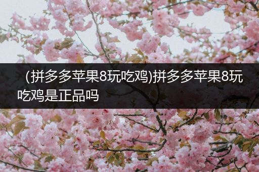 （拼多多苹果8玩吃鸡)拼多多苹果8玩吃鸡是正品吗