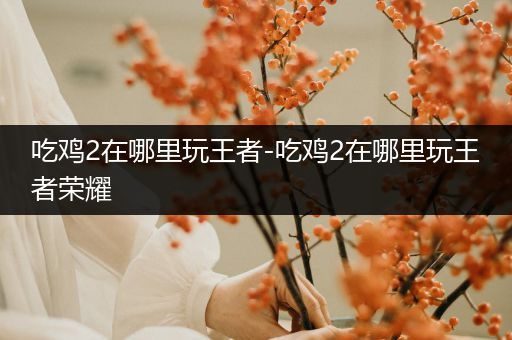 吃鸡2在哪里玩王者-吃鸡2在哪里玩王者荣耀
