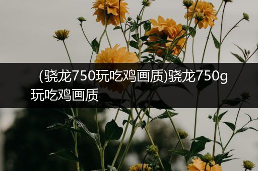 （骁龙750玩吃鸡画质)骁龙750g玩吃鸡画质