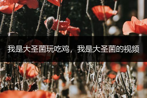 我是大圣菌玩吃鸡，我是大圣菌的视频