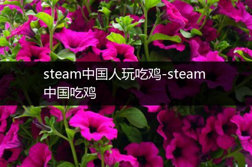 steam中国人玩吃鸡-steam 中国吃鸡