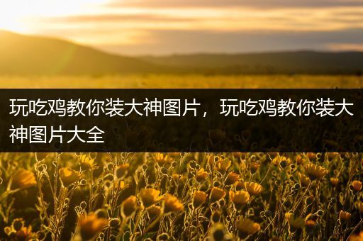 玩吃鸡教你装大神图片，玩吃鸡教你装大神图片大全