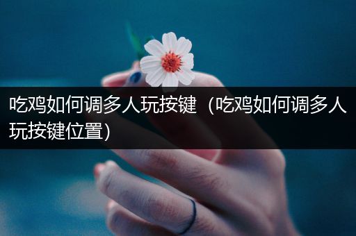 吃鸡如何调多人玩按键（吃鸡如何调多人玩按键位置）