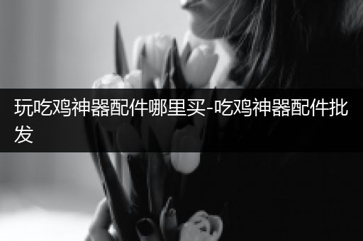 玩吃鸡神器配件哪里买-吃鸡神器配件批发