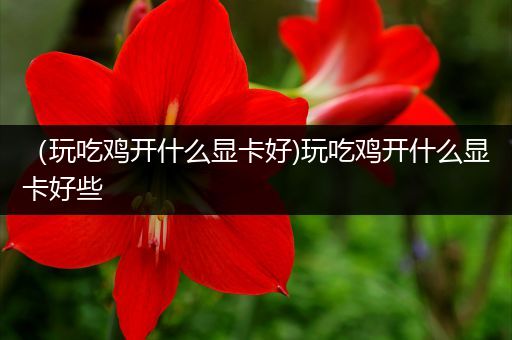 （玩吃鸡开什么显卡好)玩吃鸡开什么显卡好些