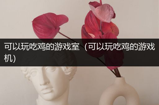 可以玩吃鸡的游戏室（可以玩吃鸡的游戏机）