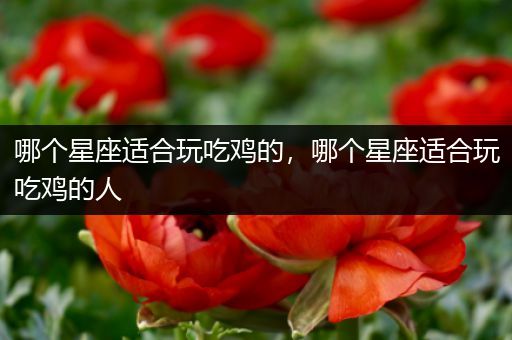 哪个星座适合玩吃鸡的，哪个星座适合玩吃鸡的人